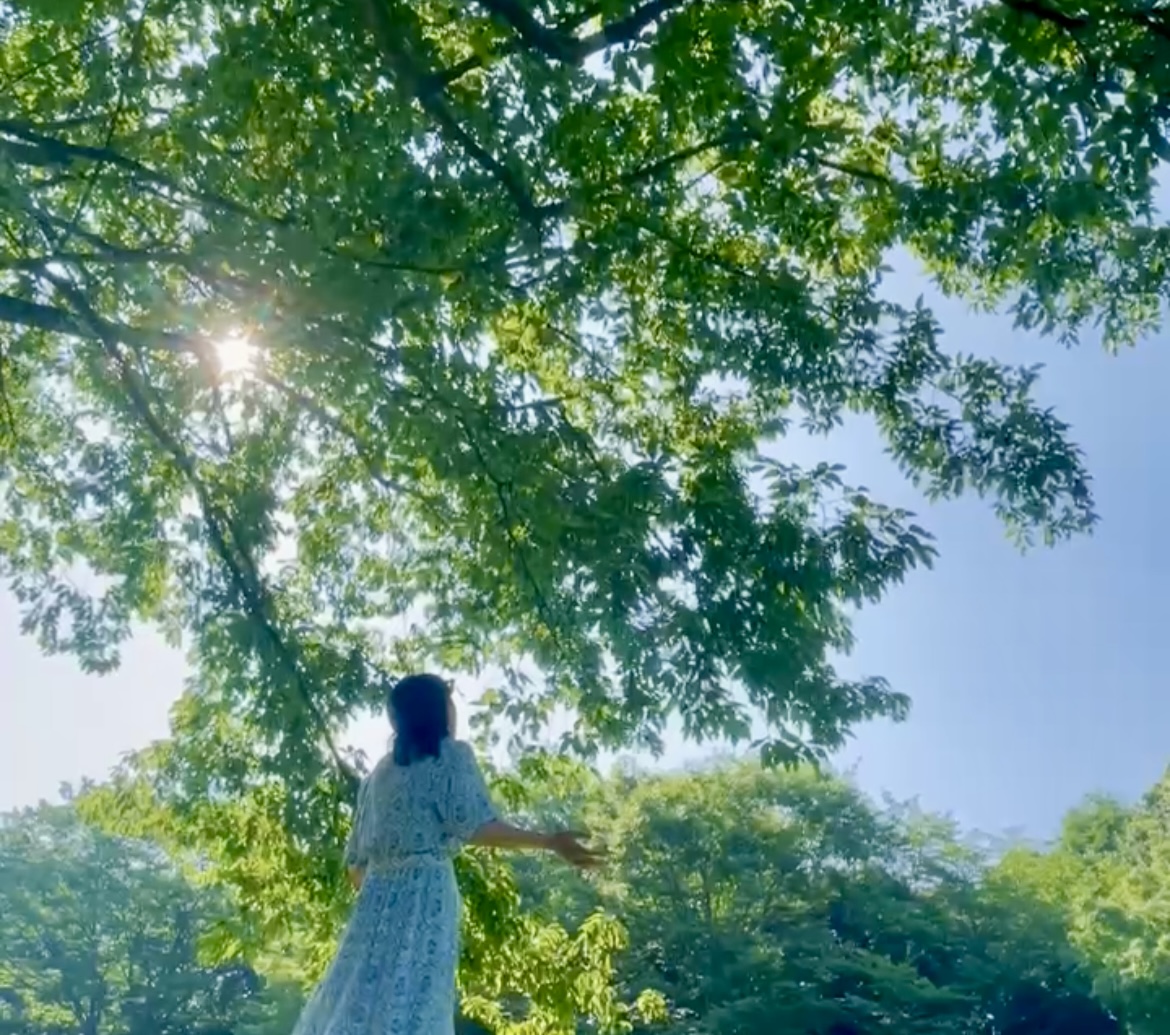 大自然の中の Mirei